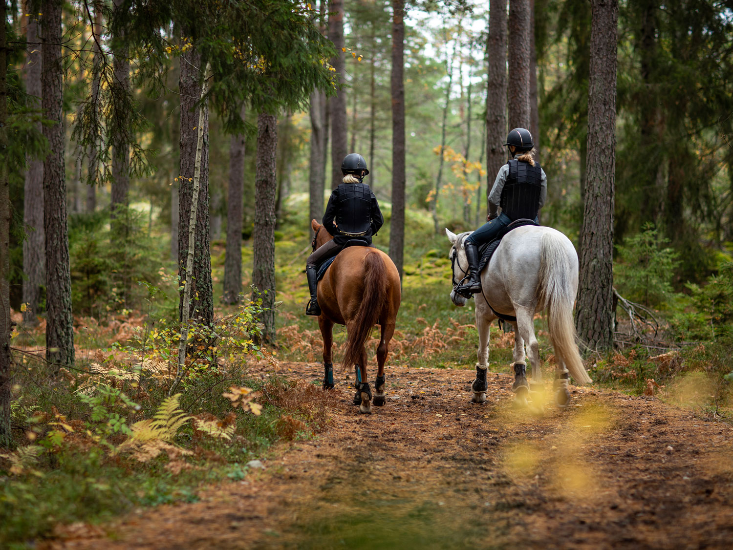 Två flickor rider i skogen