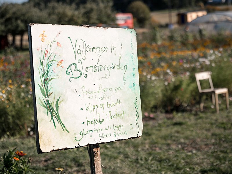 En handmålad skylt där det står Välkommen till blomstergården